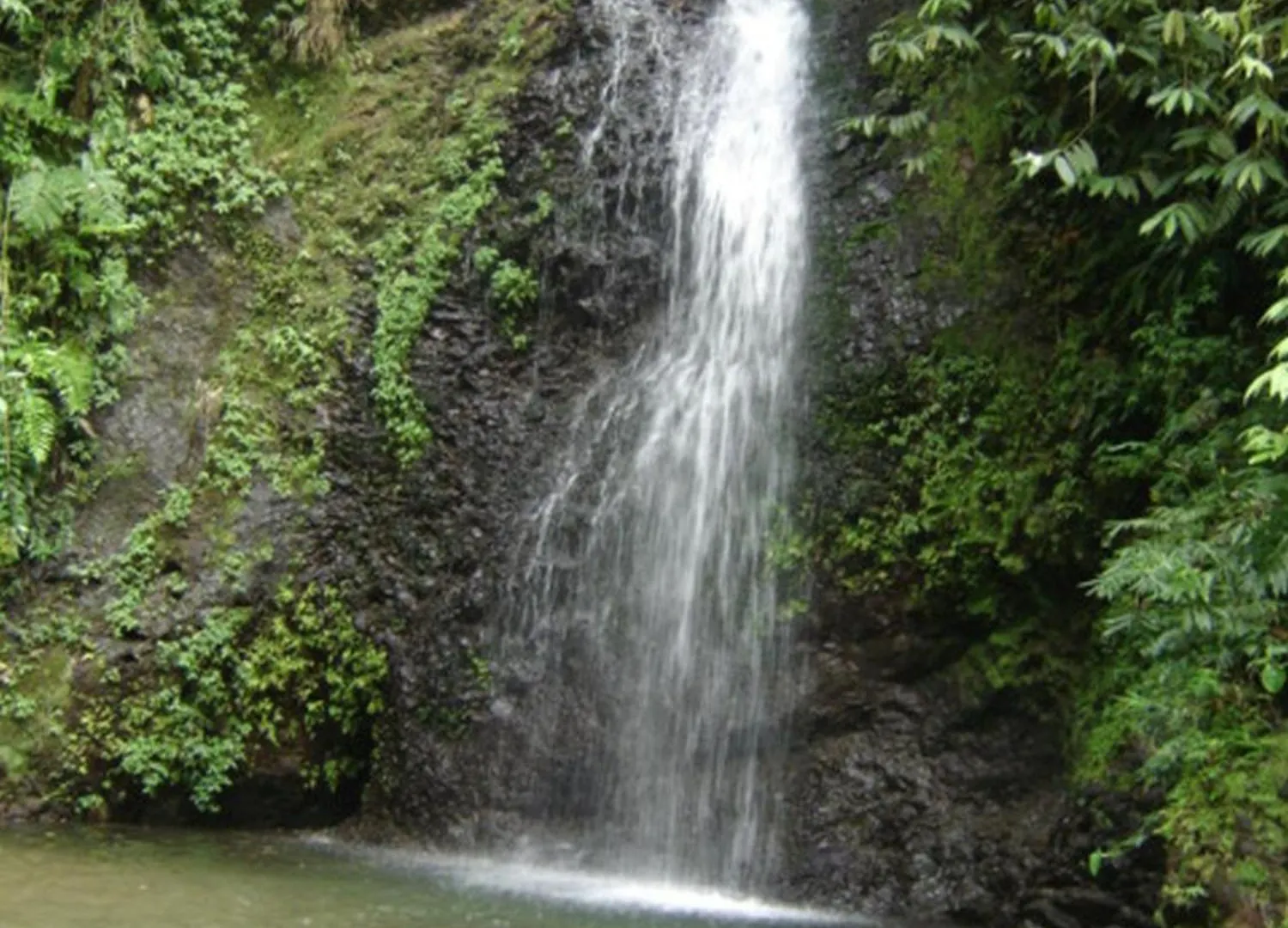 Revantilles Les Manguiers D1 Les Trois-Ilets 0*,  Martinique